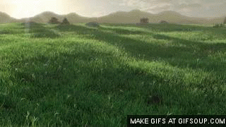 Field GIF - Find & Share on GIPHY