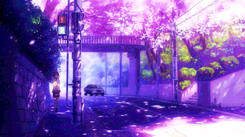 Night Sky Surrounded By Cherry Blossom Trees Petals Falling GIFs - Find ...
