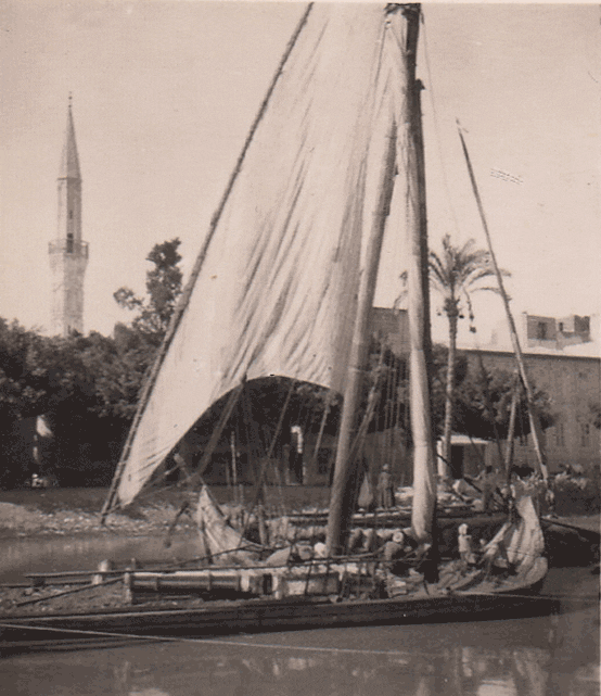 Sailboat GIF Find & Share on GIPHY