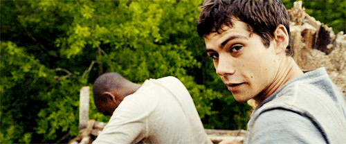 Image result for dylan o'brien gif maze