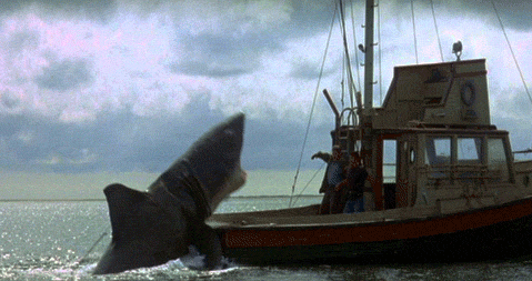 jaws shark shark attack 1975 roy scheider