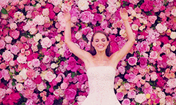 Pink GIF - Find & Share on GIPHY