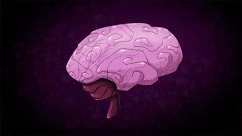 Blow Brains GIFs - Find & Share on GIPHY