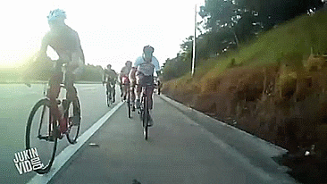 giphy.gif