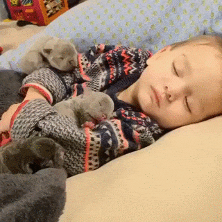 Tiny Puppies Snuggle with Little Boy Wholesome Cute