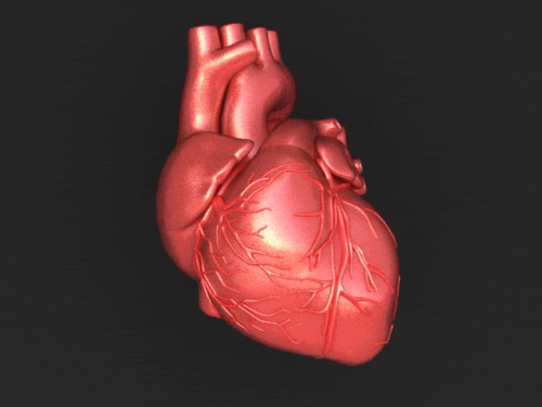 Heart Health Find And Share On Giphy