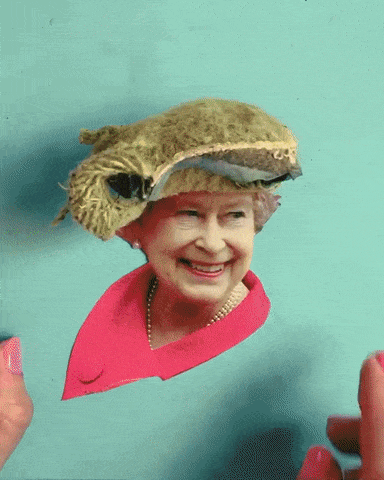 Giphy/@smallditch/Instagram/Reprodução
