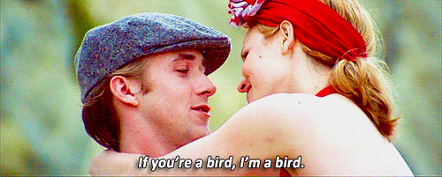 Films the notebook