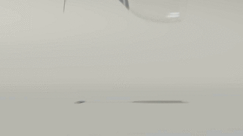 Mythbusters christmas tree preservation episode