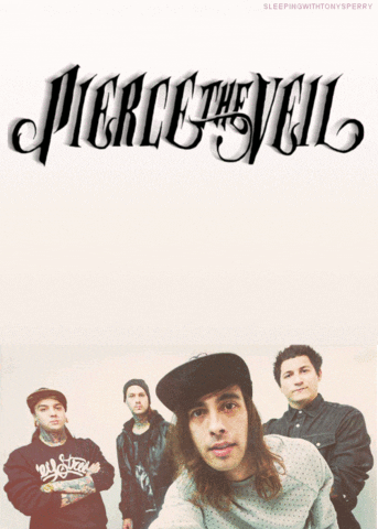 Ptv tumblr