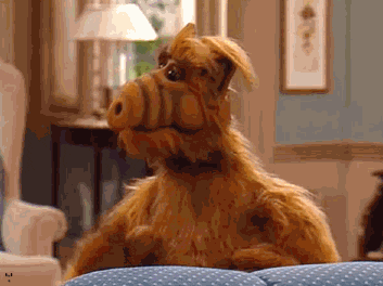 Image result for alf gif