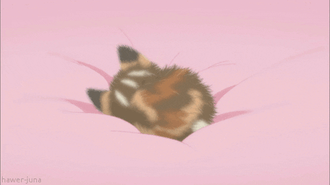 Kitten Anime Girl GIF - Find & Share on GIPHY
