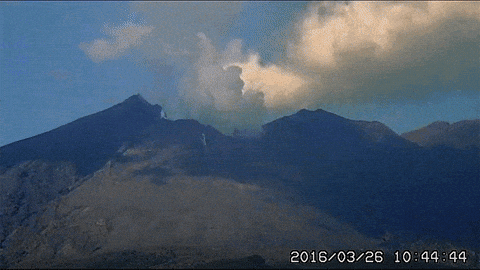 Sakurajima GIFs - Find & Share on GIPHY