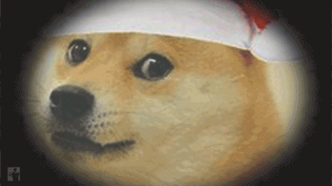 Doge GIFs - Find & Share on GIPHY