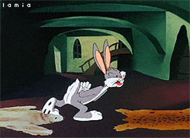 Looney Tunes GIF - Find & Share on GIPHY
