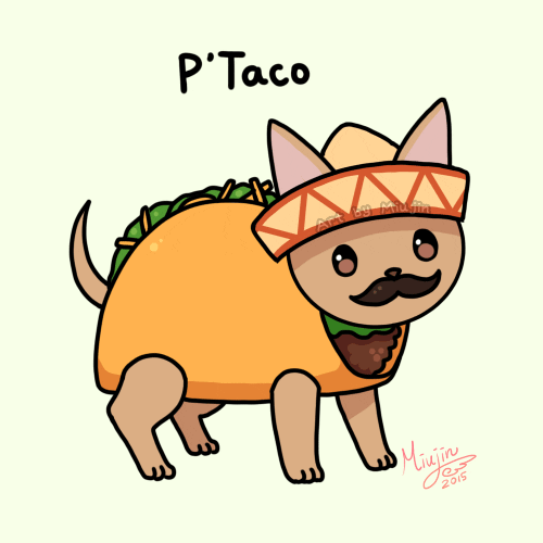 Taco GIF Find & Share on GIPHY