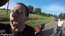 https://media.giphy.com/media/GqXgaOeca6rle/giphy.gif
