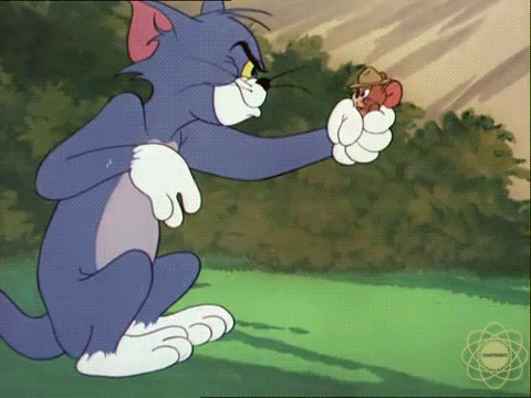Image result for tom and jerry funny gif