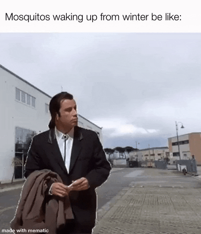 Mosquitos be like in funny gifs