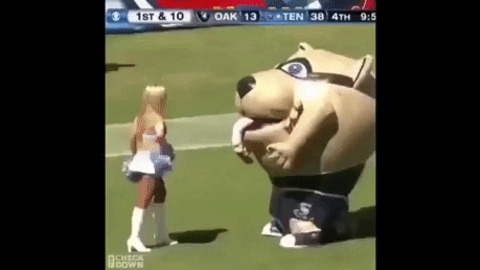 Do not mess with this mascot