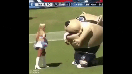 Do not mess with this mascot in funny gifs