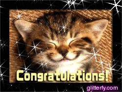 Image result for congratulations cat pictures