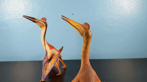 Custom Dinotopia Quetzalcoatlus "Skybax" by paintingdinos Giphy