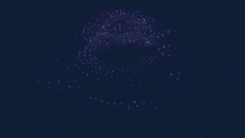 friedpixels GIF