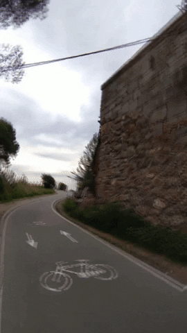 giphy.gif