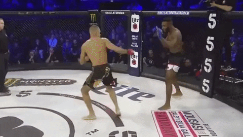 Raymond Daniels Spinning Knockout Punch