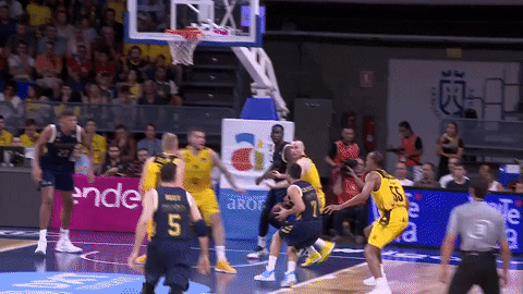 Real Madrid Basketball GIF by ACB - Find & Share on GIPHY