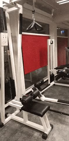 Big gains coming in funny gifs