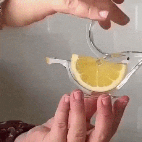Transparent Bird Manual Lemon Juicer - Life Changing Products
