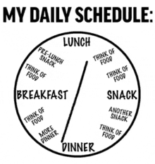 My daily schedule in funny gifs