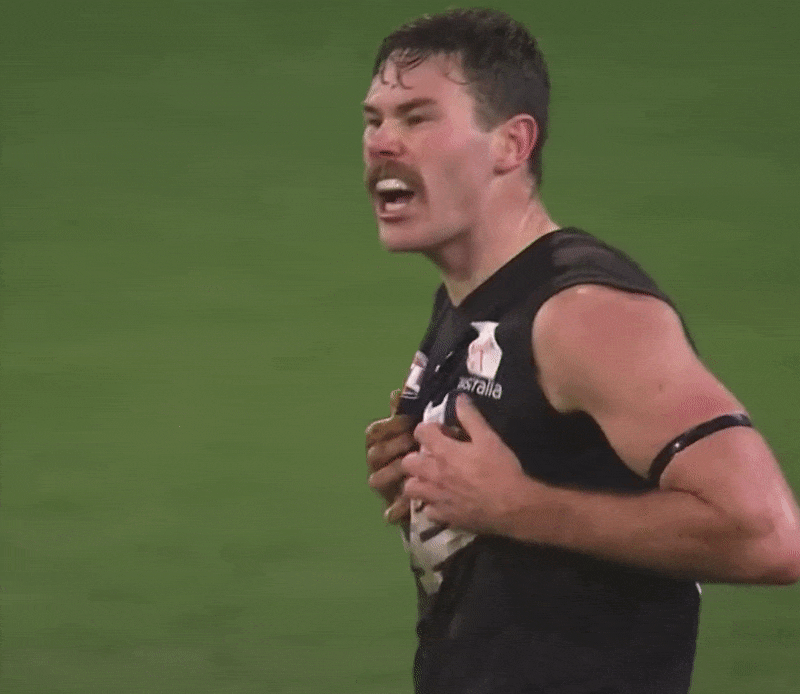 Carlton Football Club GIF Find & Share on GIPHY