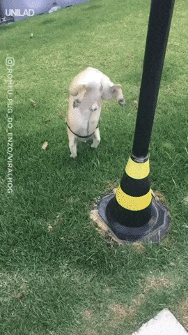 Coolest way to pee in funny gifs