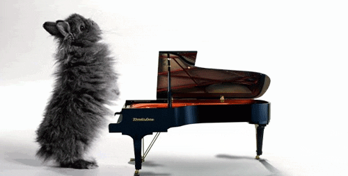 Bunny Playing Piano GIFs - Find & Share on GIPHY