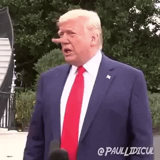 Трамп не хочет, чтобы импичмент стал "темным пятном" в его биографии - Цензор.НЕТ 9529