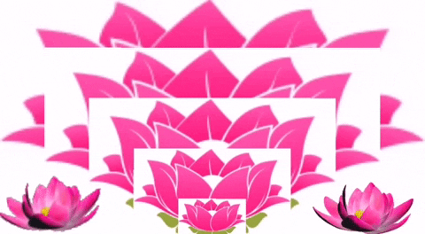 Thamarai Restaurant GIF