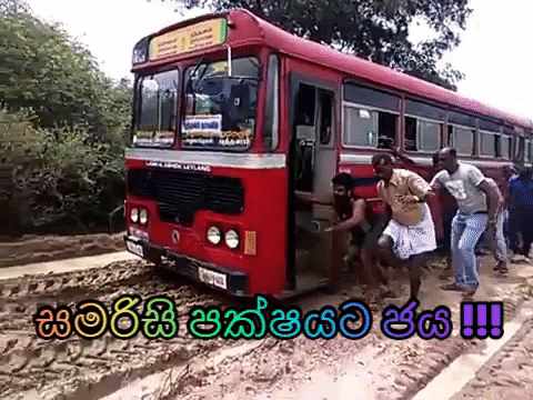 giphy.gif
