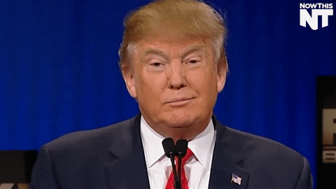 Donald Trump Lol GIF by NowThis - Find & Share on GIPHY
