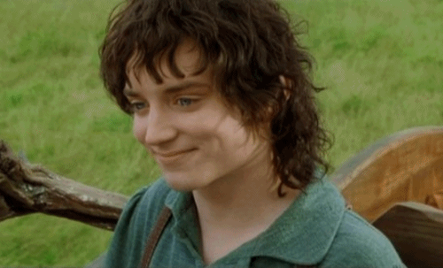 Image result for frodo baggins gif