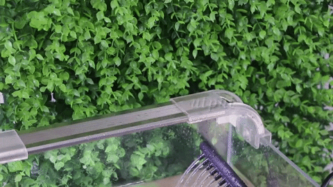 fish-tank-filter