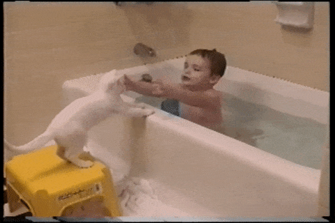 giphy-downsized-large.gif