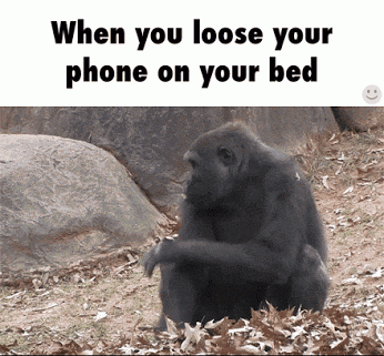 Lost Your Phone in funny gifs