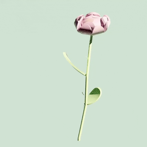 Summer Grow GIF by daisymlink