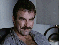 Tom Selleck 90S GIF - Find & Share on GIPHY