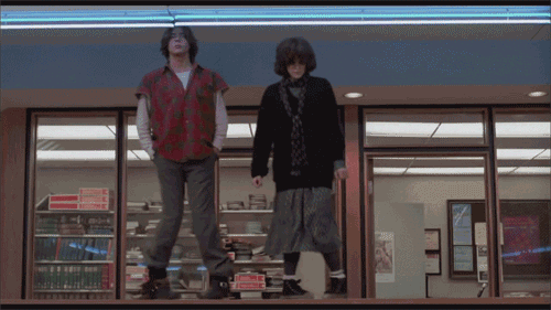 giphy.gif