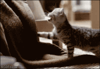 source.gif