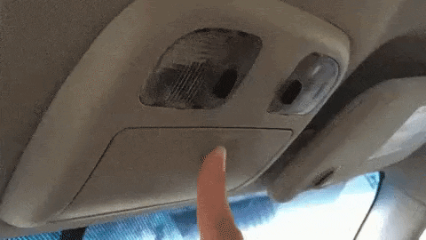 giphy.gif